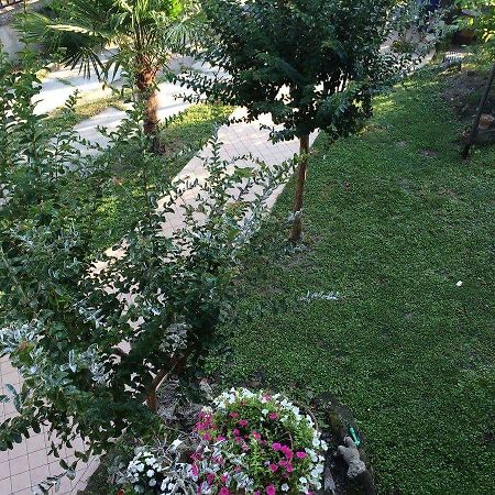 קומאקיו B&B Dai Nonni מראה חיצוני תמונה